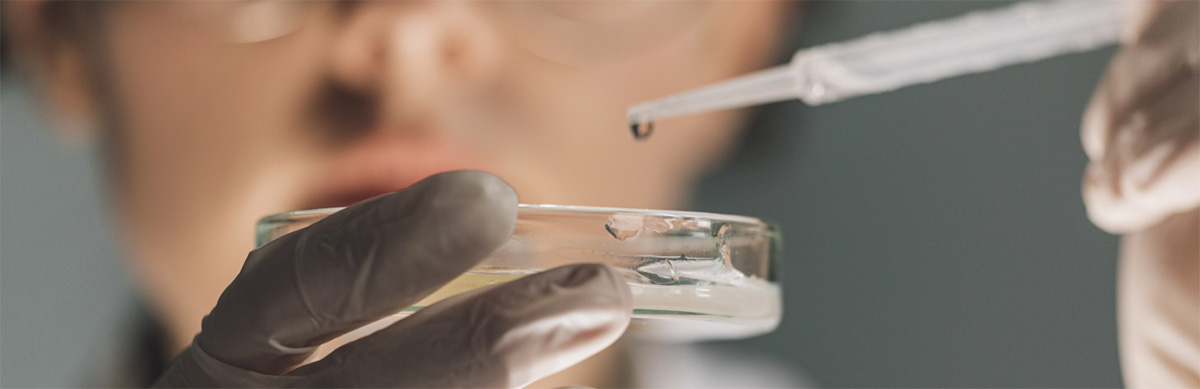 avif-lab
